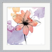 Framed 'Watercolor Graphite Flower II' border=