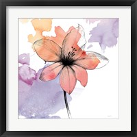 Framed 'Watercolor Graphite Flower II' border=