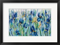 Framed Iris Flower Bed