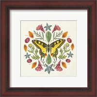 Framed 'Butterfly Mandala III' border=