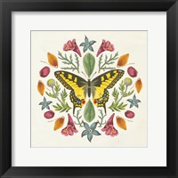 Framed Butterfly Mandala III