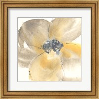 Framed 'Flower Tones II' border=