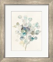 Framed Eucalyptus III