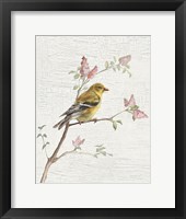 Framed Female Goldfinch Vintage v2