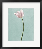 Framed Light Tulips I Harbor Gray