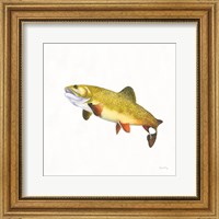 Framed 'Gone Fishin Brookie' border=