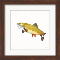 Framed 'Gone Fishin Brookie' border=