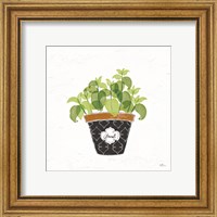 Framed 'Fine Herbs VIII' border=