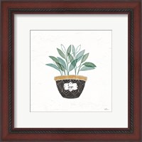 Framed 'Fine Herbs VII' border=