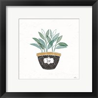 Framed 'Fine Herbs VII' border=