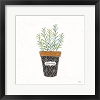 Fine Herbs IX Framed Print