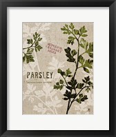 Framed Organic Parsley No Butterfly