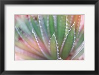 Dream Desert II Framed Print