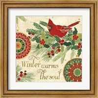 Framed 'Winter Feathers VI' border=