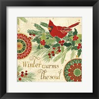 Framed Winter Feathers VI