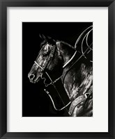 Scratchboard Rodeo V Framed Print