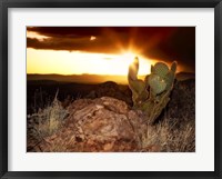 Framed Sunset in the Desert V