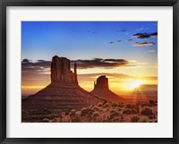 Pink Morning Glory III Framed Print