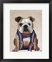 Framed English Bulldog with Scarf