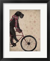 Framed Schnauzer on Bicycle, Black