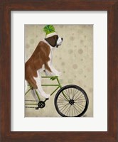 Framed St Bernard on Bicycle