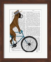 Framed Boxer on Bicycle