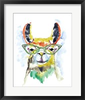 Smarty-Pants Llama Framed Print