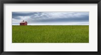 Farm & Country VI Framed Print