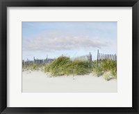 Framed Beachscape IV