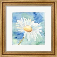 Framed 'Daisy Sunshine II' border=