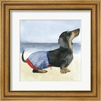 Framed 'Hot Dog IV' border=