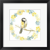 Framed 'Solo Songbird II' border=