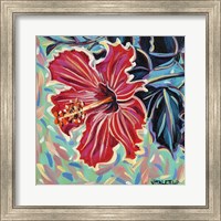 Framed 'Hawaiian Beauty II' border=