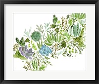 Succulent Field I Framed Print