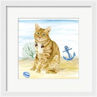 Framed 'Summer Purr Party IV' border=