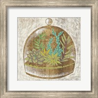 Framed 'Glass Garden I' border=