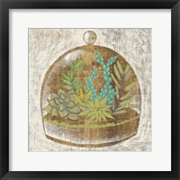 Glass Garden I Framed Print