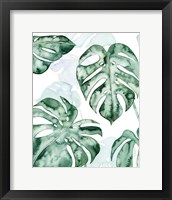 Split Leaf I Framed Print