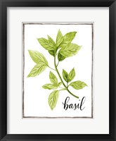 Watercolor Herbs I Framed Print