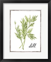 Watercolor Herbs III Framed Print