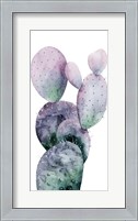 Framed Purple Cactus I