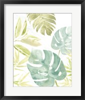 Island Medley III Framed Print