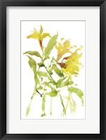 Watercolor Lilies I Framed Print