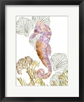 Undersea Creatures II Framed Print