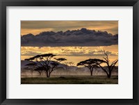 Framed Good Evening Tanazania