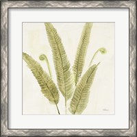 Framed 'Forest Ferns II' border=