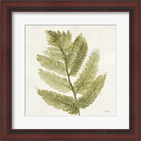 Framed 'Forest Ferns I' border=