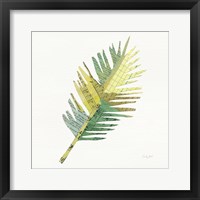 Framed 'Tropical Fun Palms I' border=