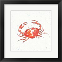 Maritime XI Framed Print