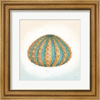 Framed 'Boardwalk Urchin' border=